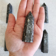 LARVIKITE POINT