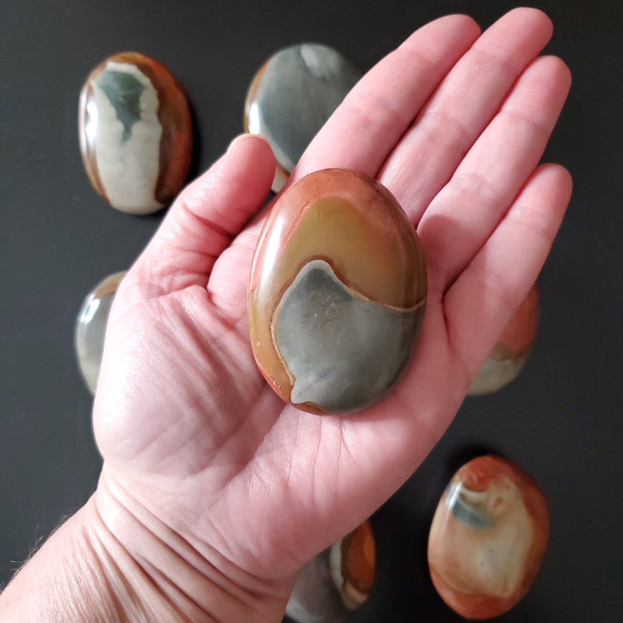 POLYCHROME JASPER PALM STONE