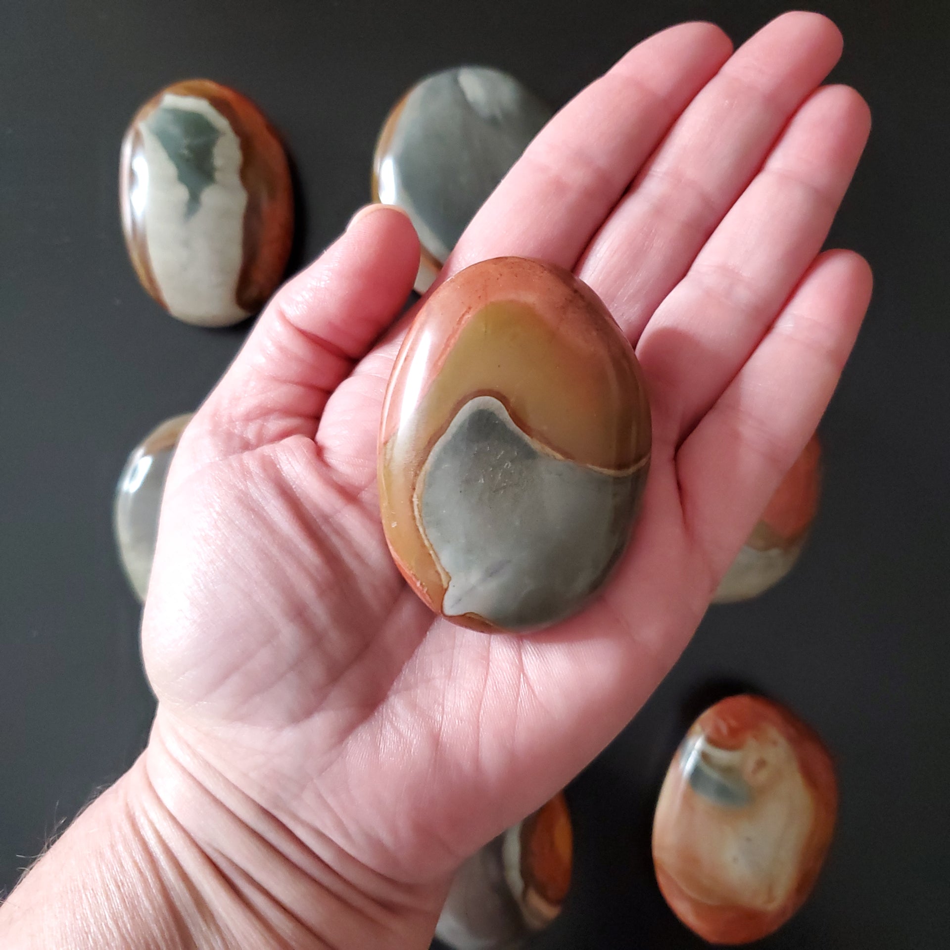 POLYCHROME JASPER PALM STONE