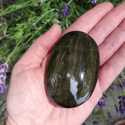 GOLD SHEEN OBSIDIAN SMALL PALM STONE