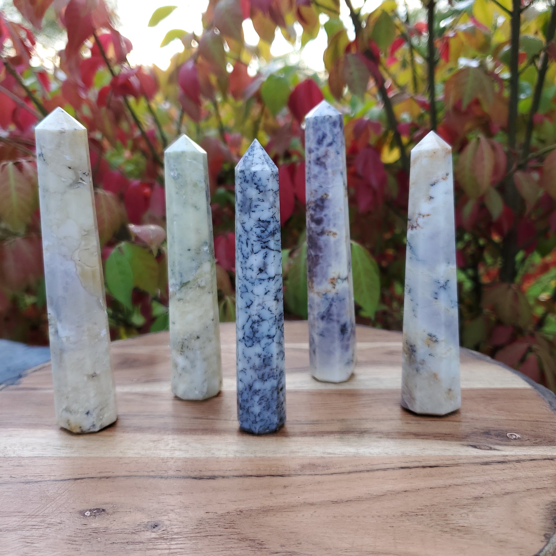 DENDRITIC OPAL POINT