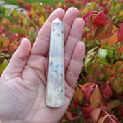 DENDRITIC OPAL POINT
