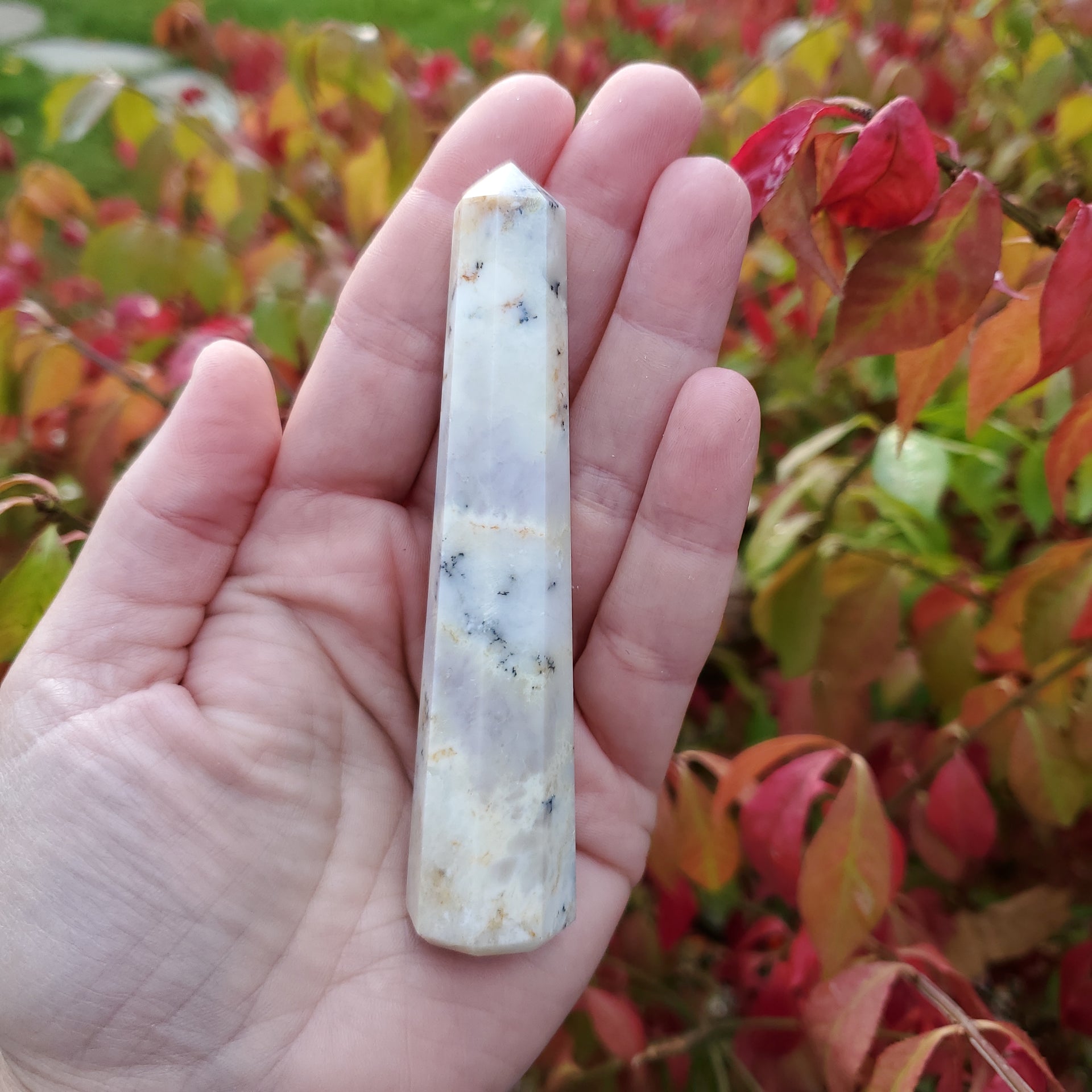 DENDRITIC OPAL POINT