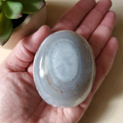 OCEAN JASPER PALM STONE