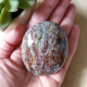 OCEAN JASPER PALM STONE