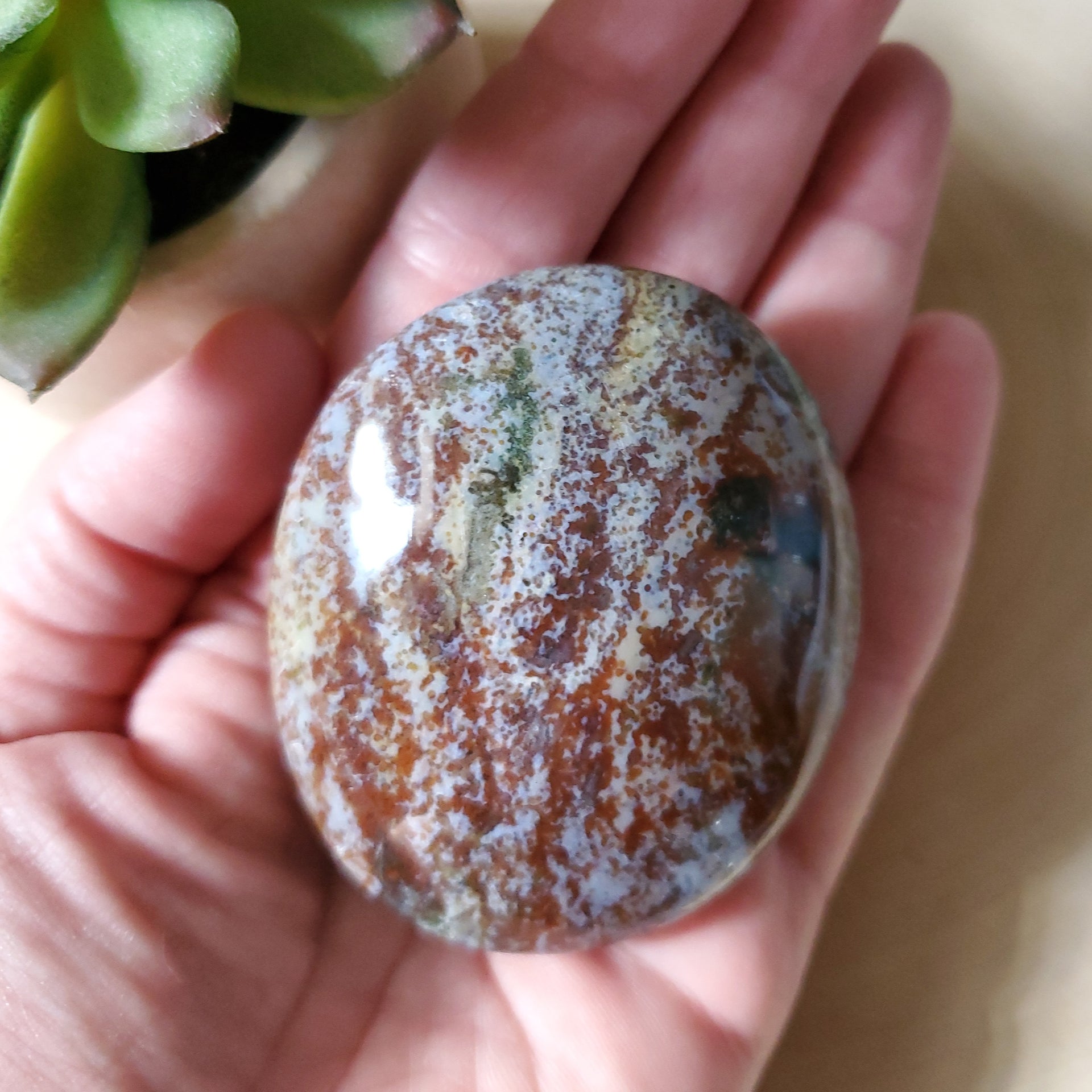 OCEAN JASPER PALM STONE
