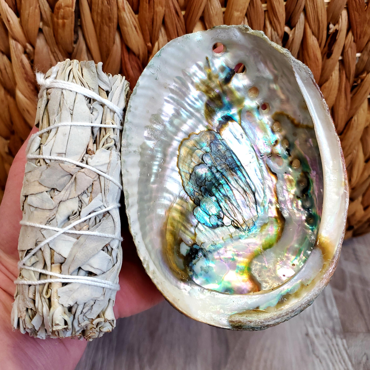 ABALONE SHELL