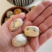 CRAZY LACE AGATE TUMBLE