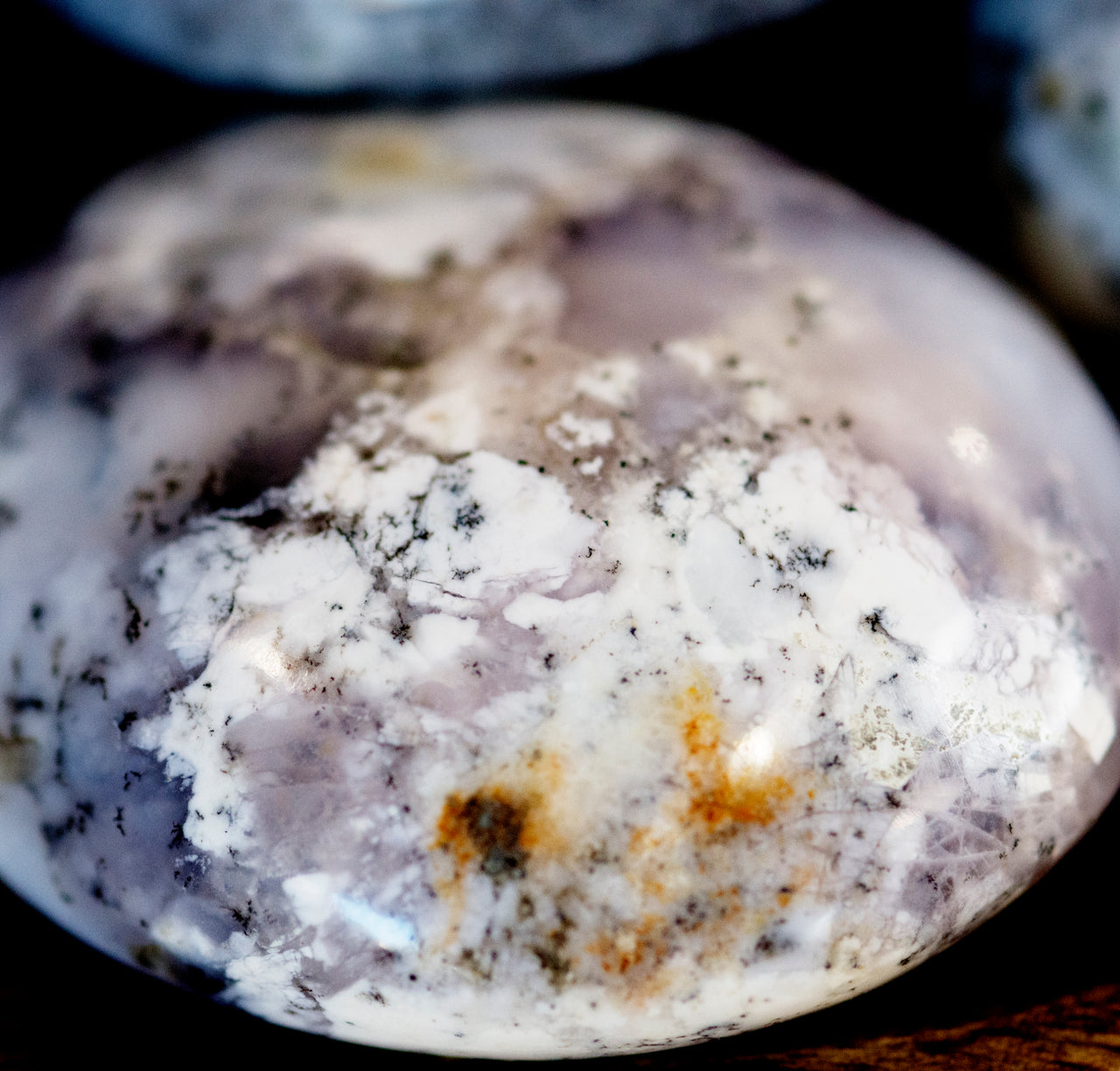 DENDRITIC AGATE PALM STONE