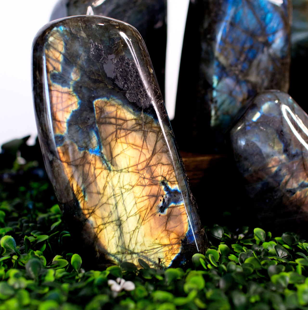 LABRADORITE FREEFORM