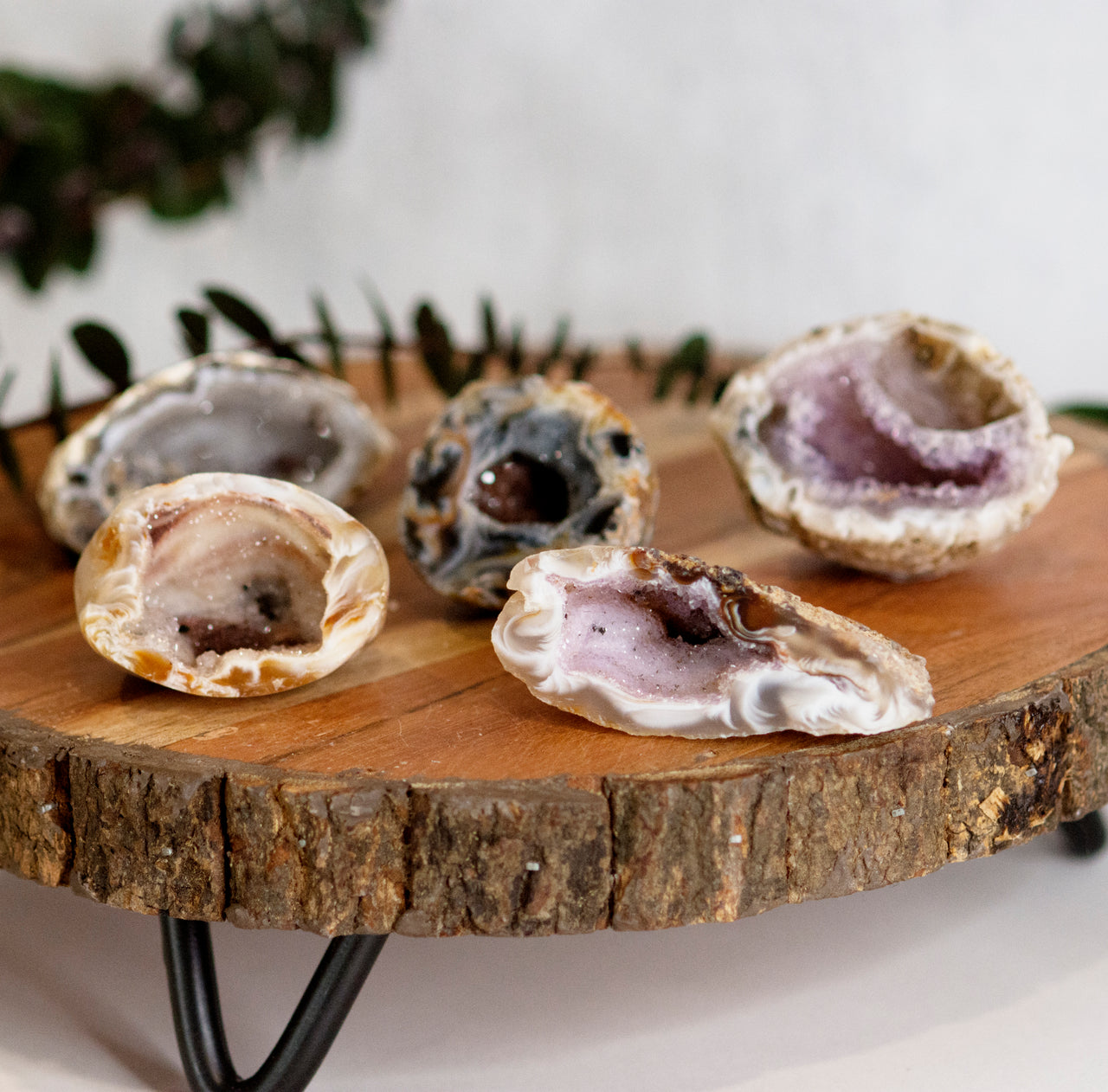 OCO GEODES