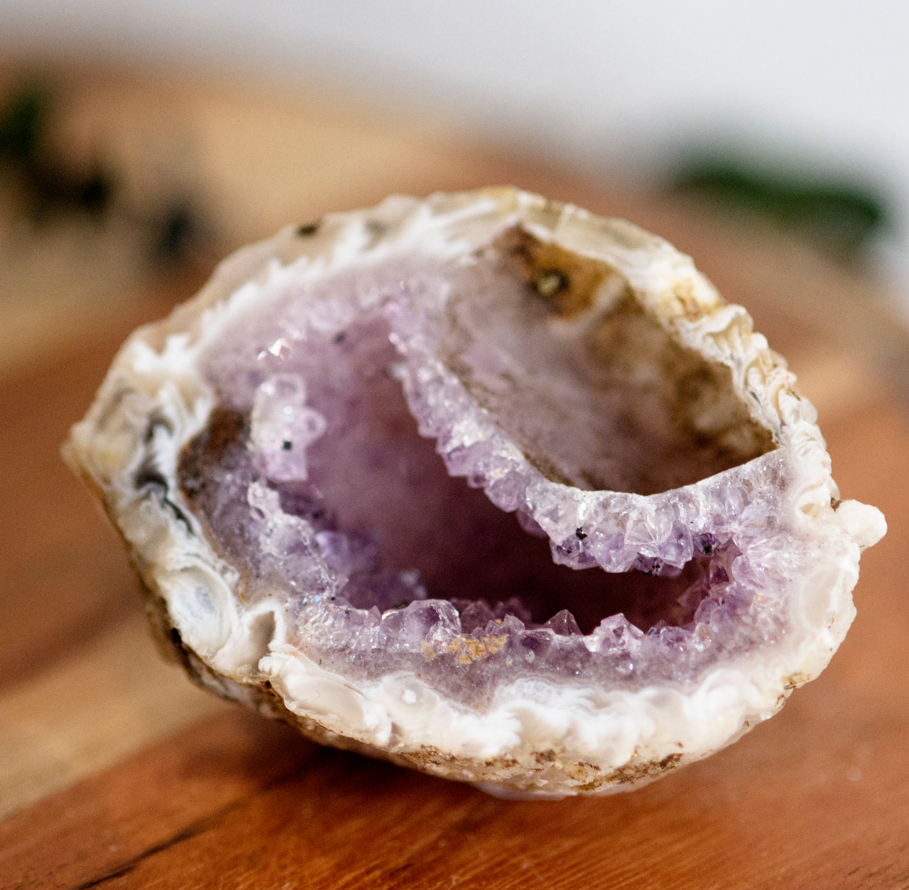 OCO GEODES