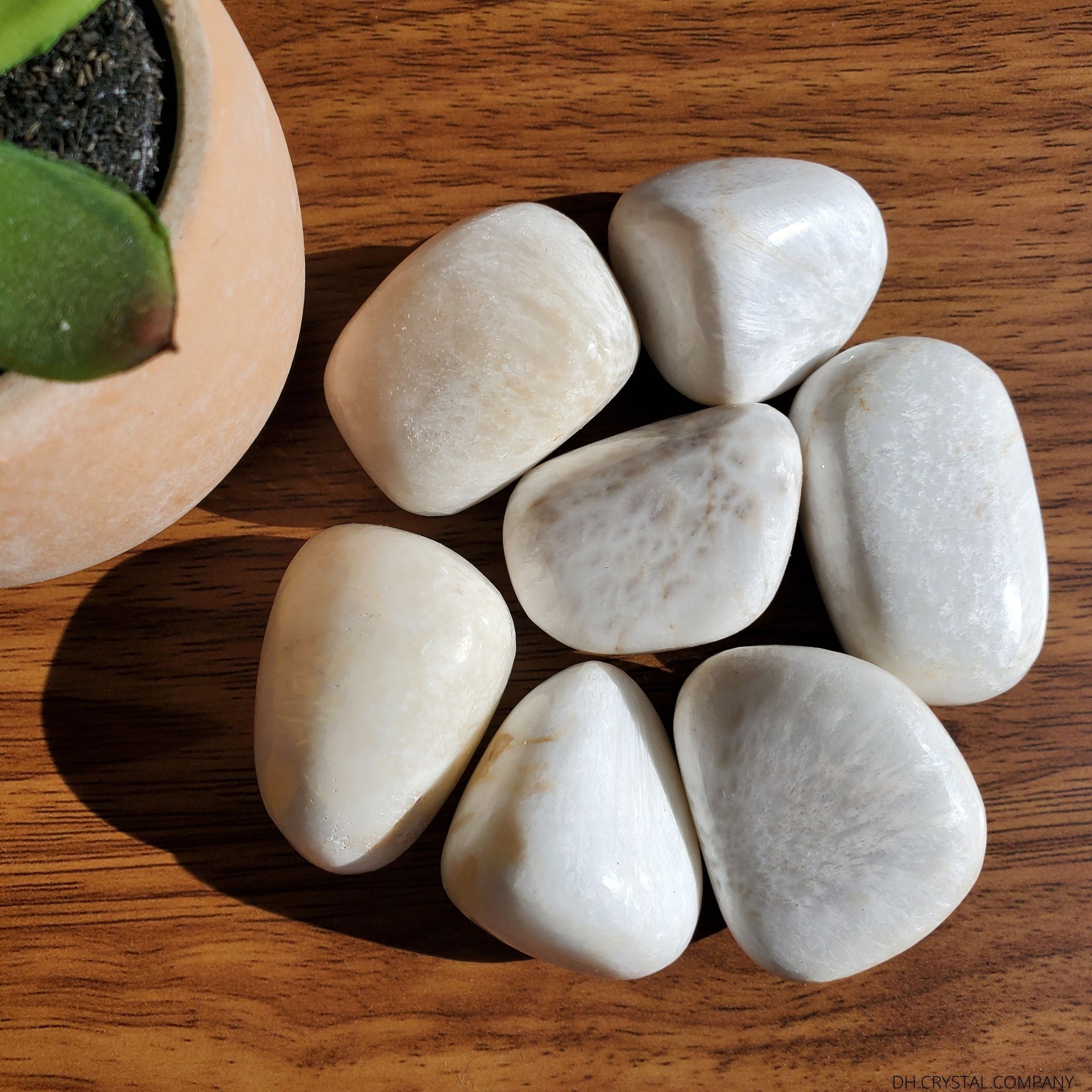 SCOLECITE TUMBLE