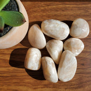 STILBITE TUMBLE