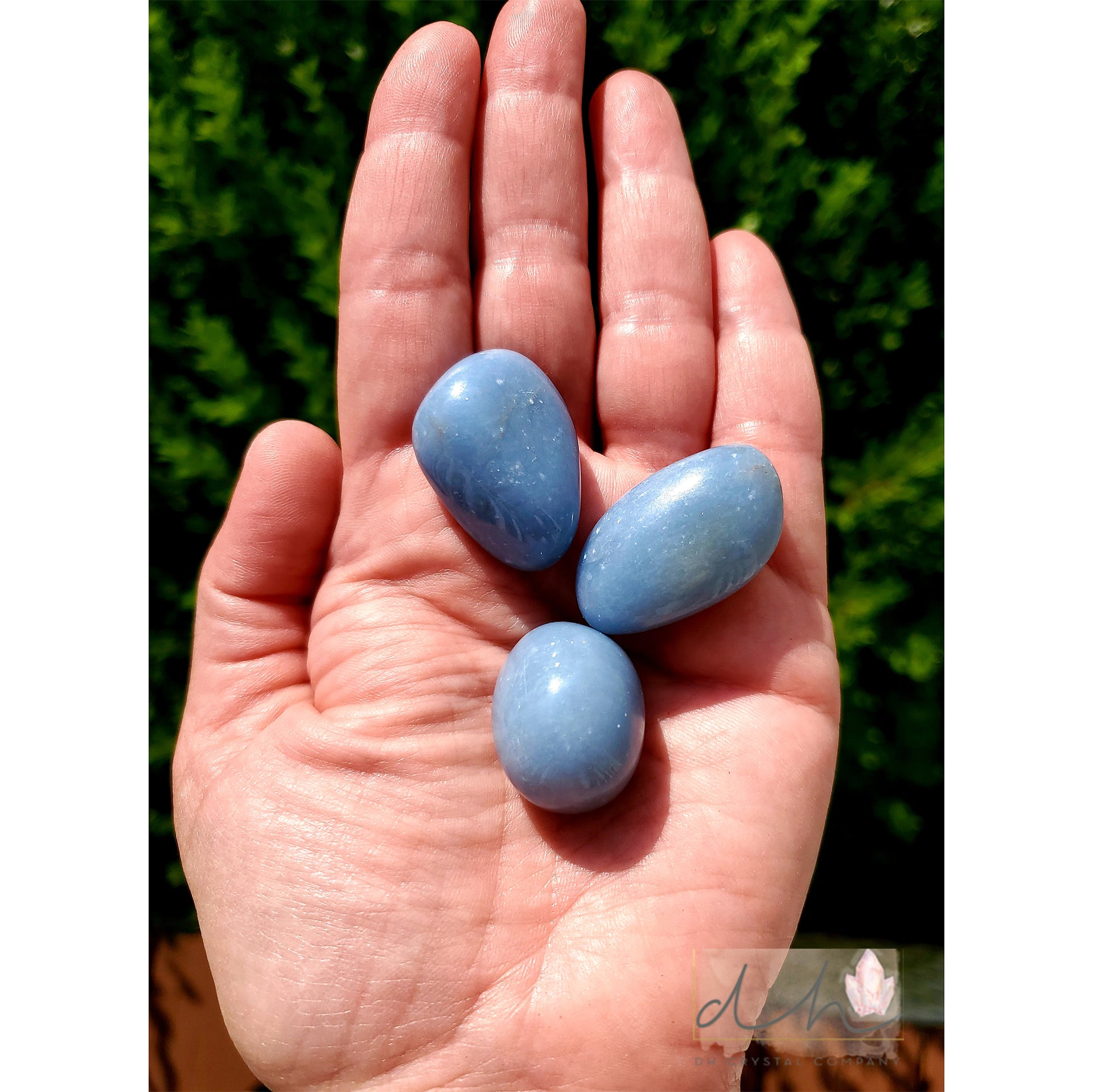 ANGELITE TUMBLE