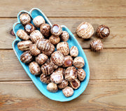 BROWN ARAGONITE TUMBLE