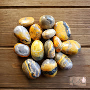 BUMBLE BEE JASPER TUMBLE