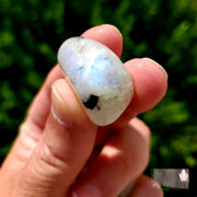 RAINBOW MOONSTONE TUMBLE