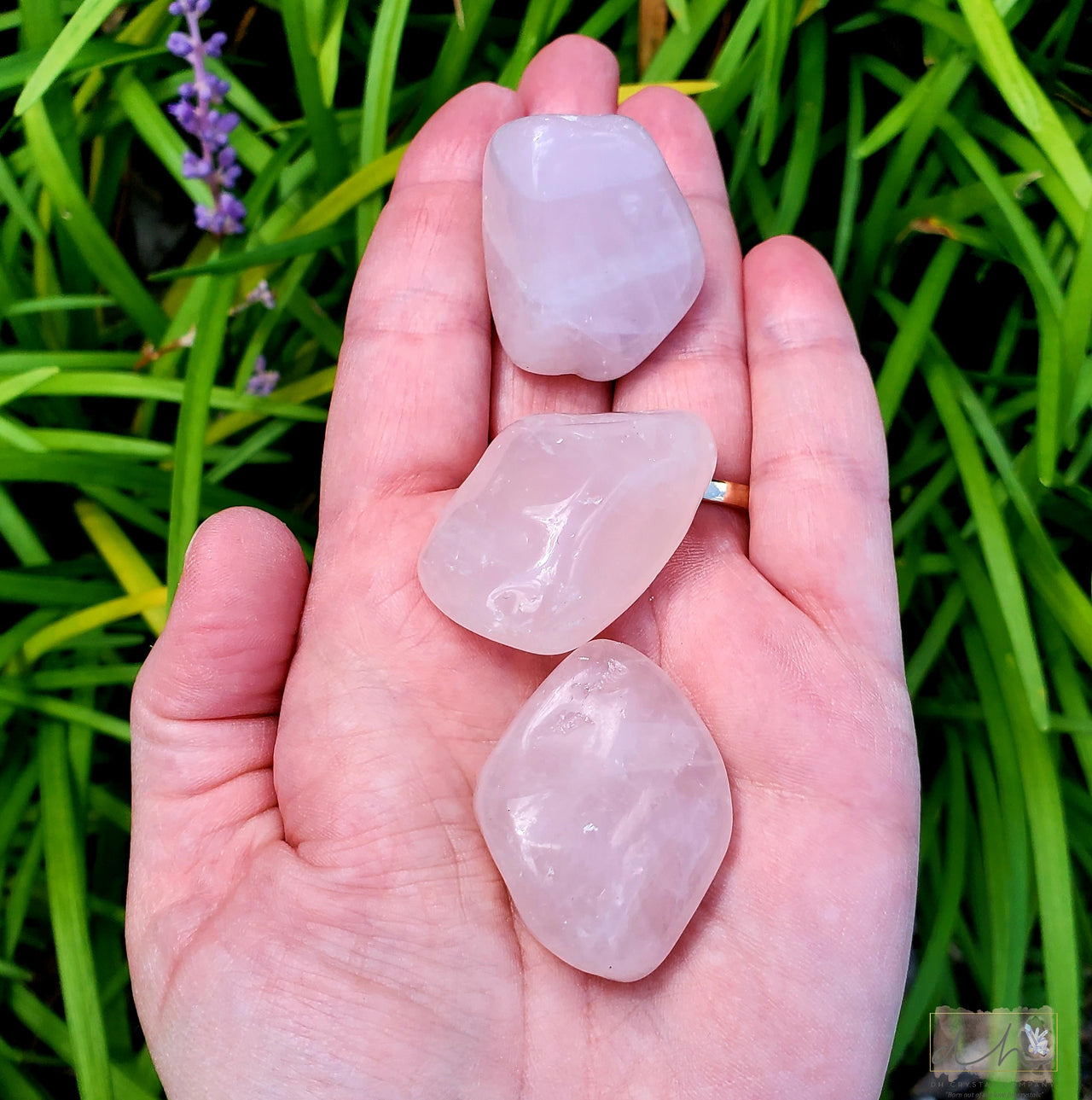 ROSE QUARTZ TUMBLE
