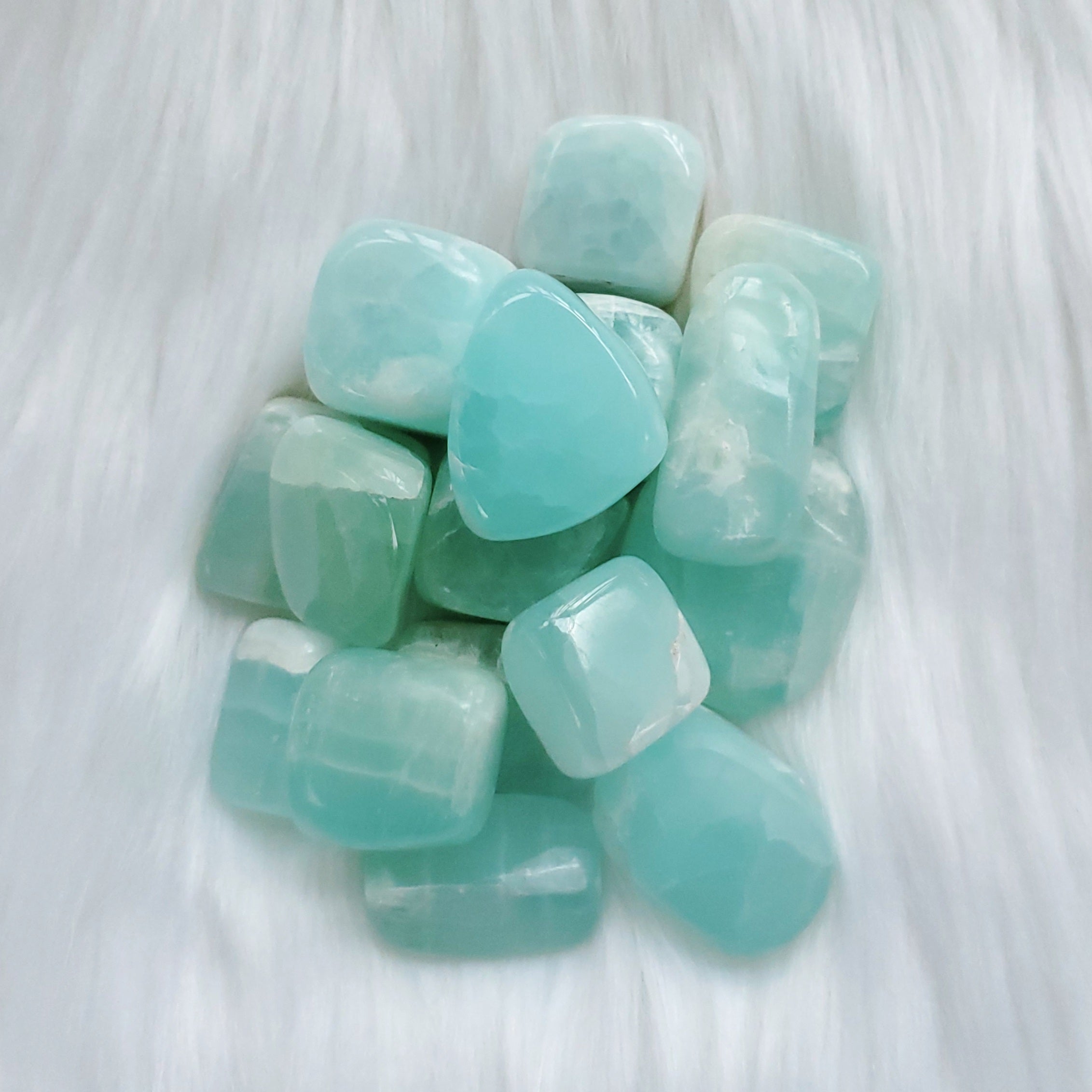 Caribbean calcite or amazonite polar good bear