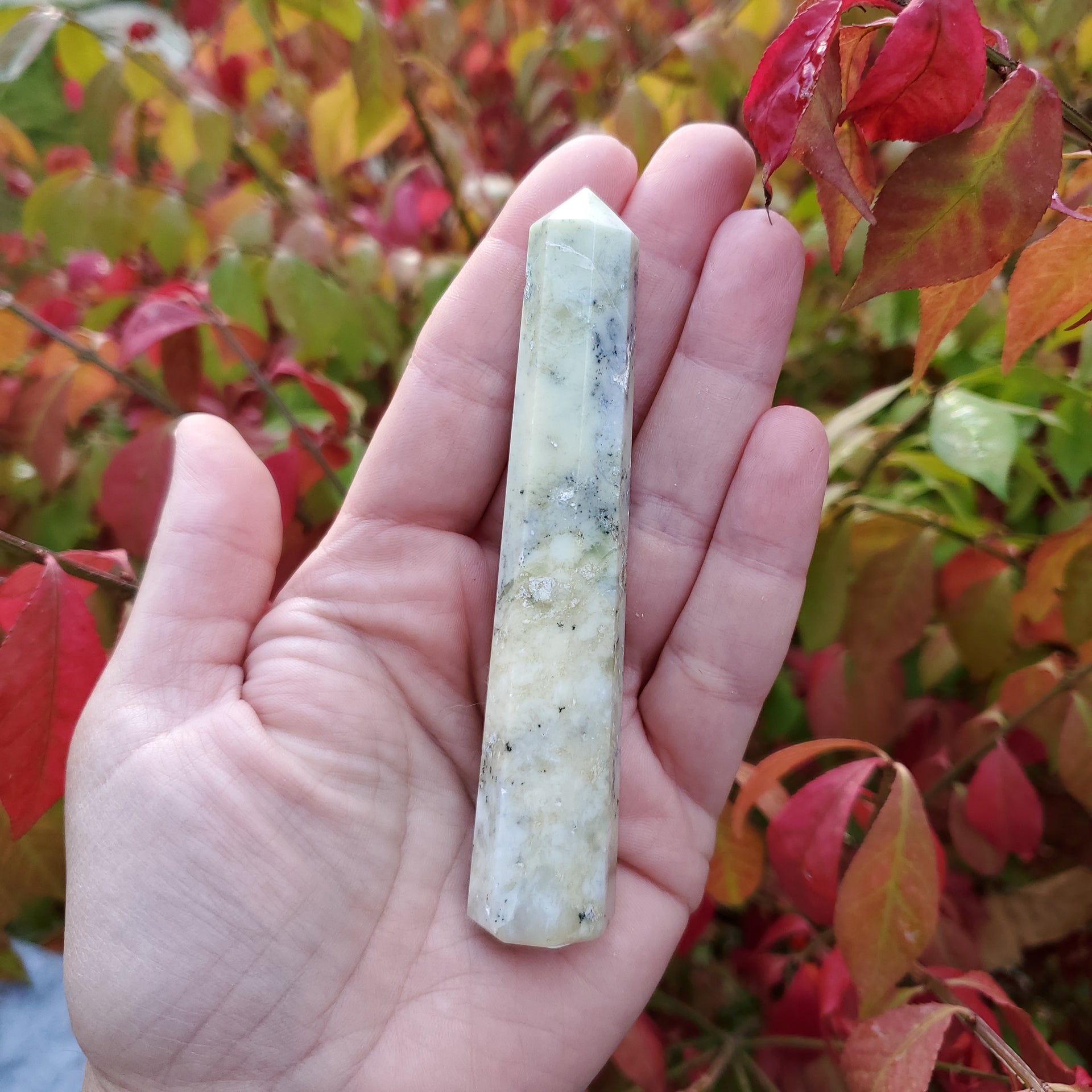DENDRITIC OPAL POINT