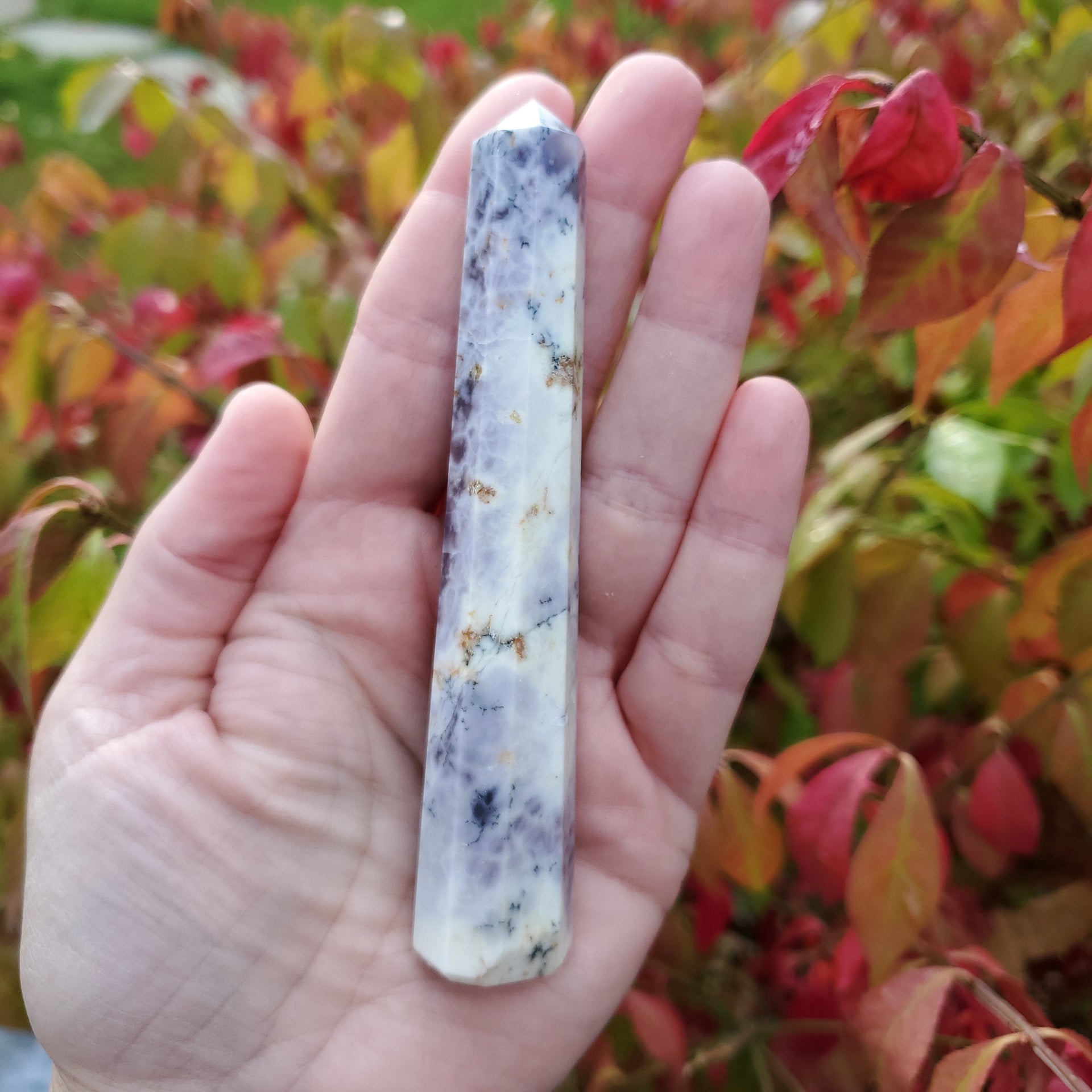 DENDRITIC OPAL POINT