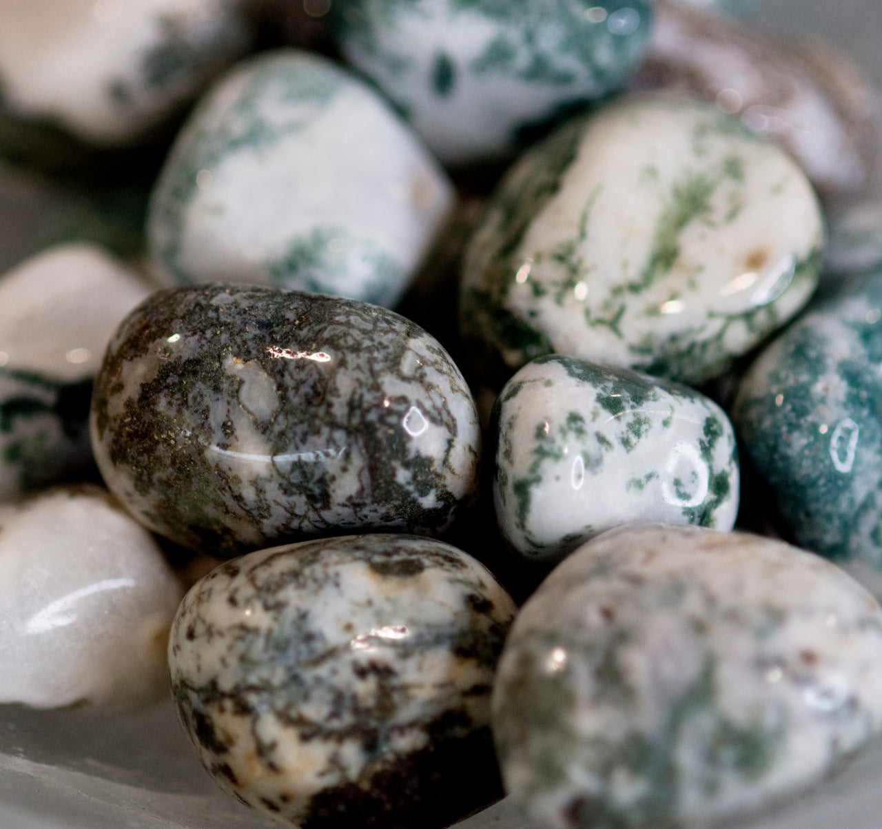 TREE AGATE TUMBLE