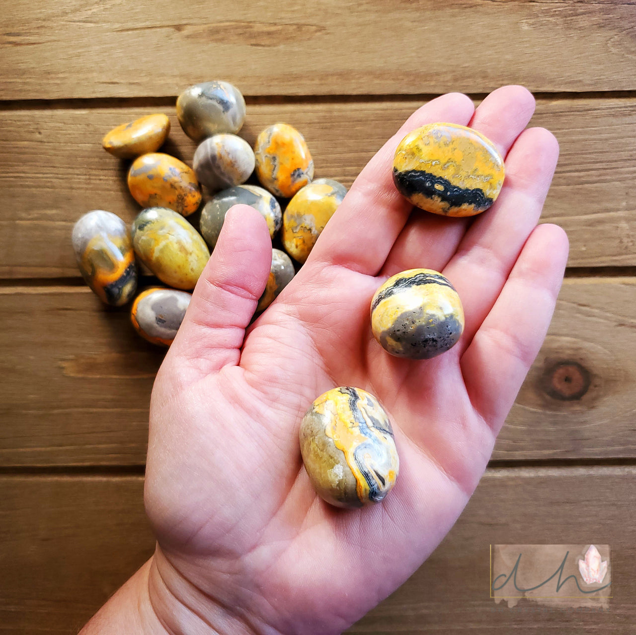 BUMBLE BEE JASPER TUMBLE