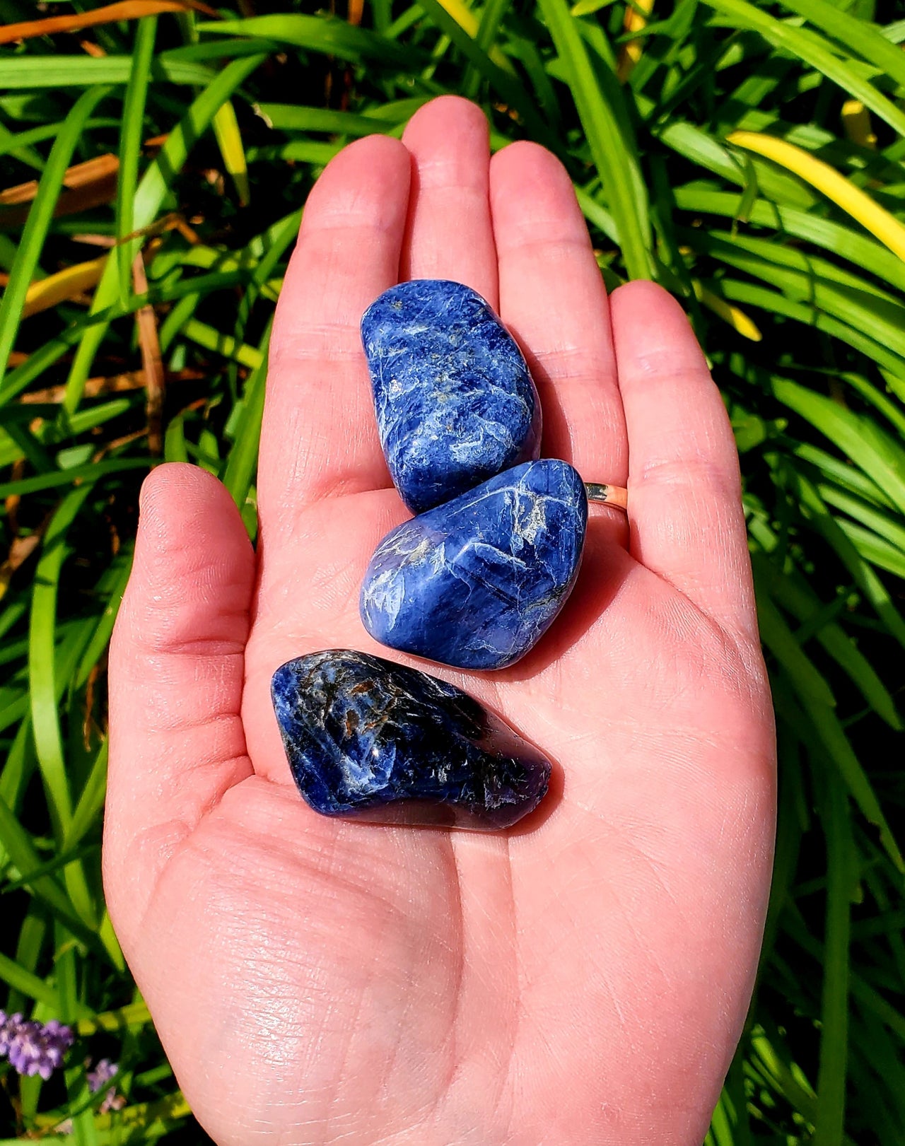 SODALITE TUMBLE